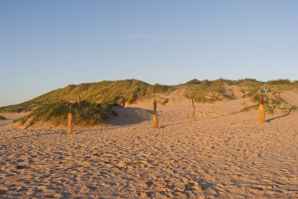 Beelden op De Kerf